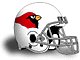 NFL Team Helmets 